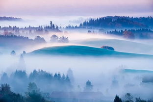 云水山居,藏匿南山的故事